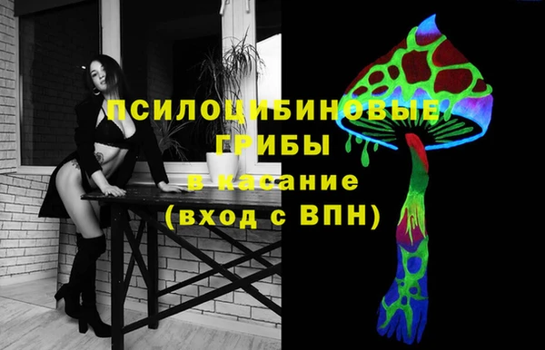 круглые Алексеевка