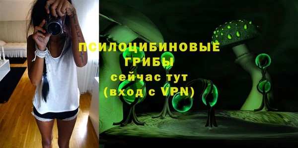 круглые Алексеевка