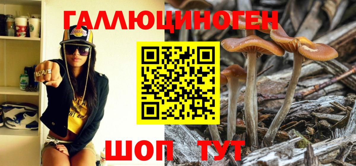 Галлюциногенные грибы Magic Shrooms  Псилоцибиновые грибы Psilocybe  Шадринск  Вход с VPN 