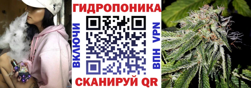 Шишки марихуана сатива  Шадринск 
